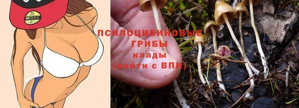 трава Магадан