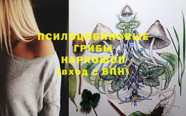 кокс Медвежьегорск