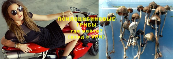 кокс Медвежьегорск