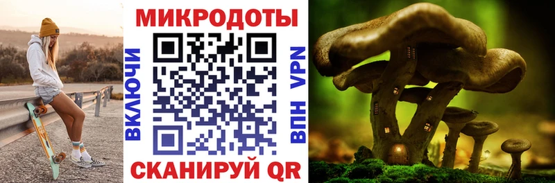 Псилоцибиновые грибы Psilocybine cubensis наркошоп Мурино