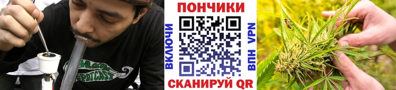 блэк спрут ТОР Мурино Бошки Шишки OG Kush